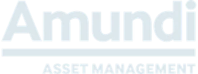 Logo partnera 3