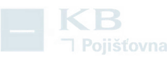 Logo partnera 13
